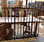 ~click to enlarge~ antique 16th century church fence 